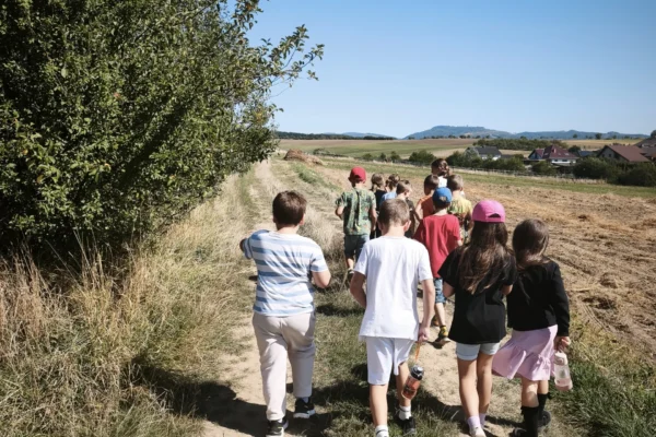 MVIMG_20260908_132813 – kopie